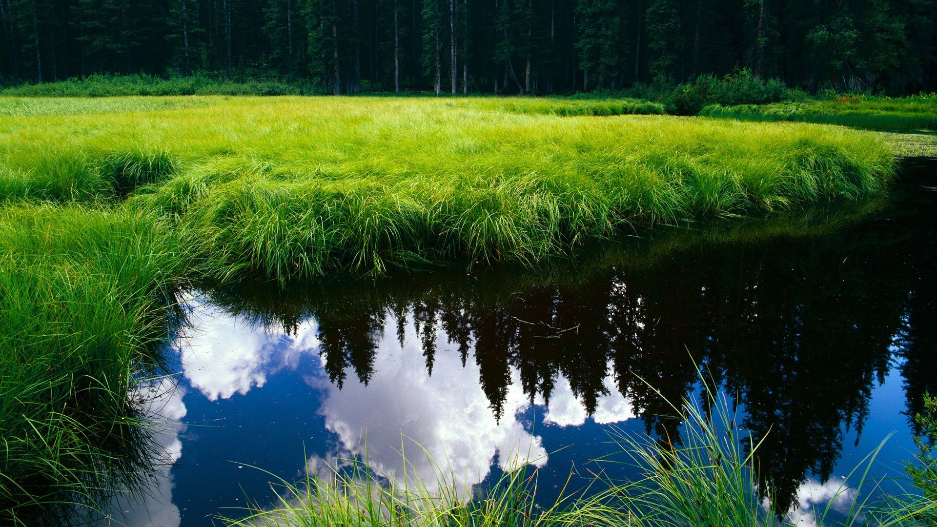 国际拳击比赛中国队成绩喜人，获得多项殊荣，2021年国际拳击比赛视频