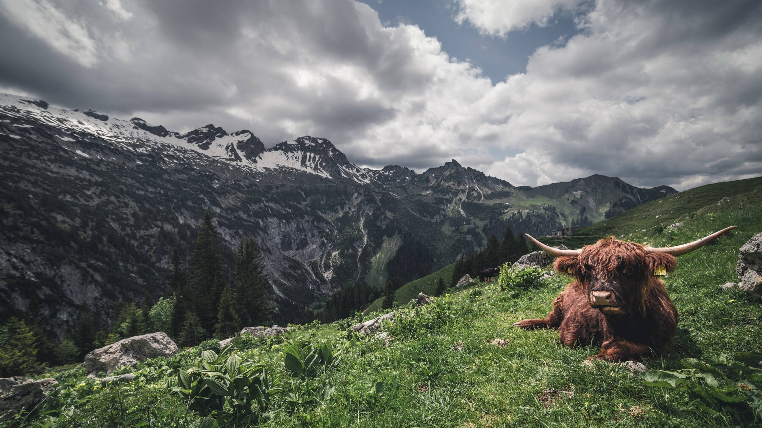 九游（jiuyou.com）游戏-“青春逐梦”体育公益大讲堂在北京盛大开启，弘扬正能量精神，体育专题讲座