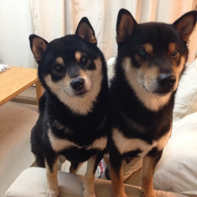 九游下载安装-全国青少年“篮球运动日”主题活动在全国多个城市同步展开，全国青少年篮球俱乐部比赛